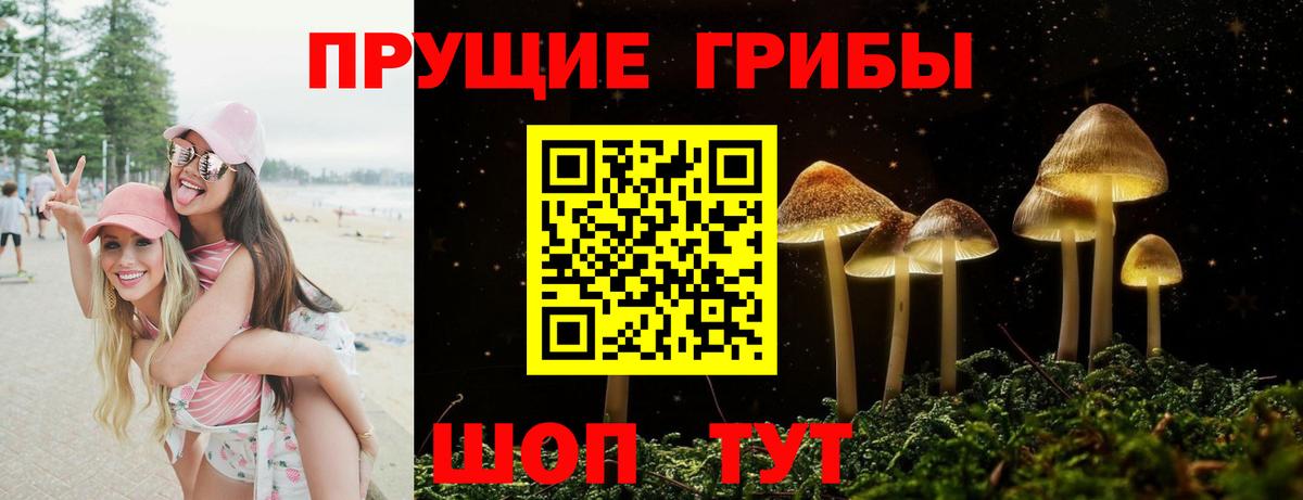 Псилоцибиновые грибы Magic Shrooms  Вход с VPN  Гусь-Хрустальный 